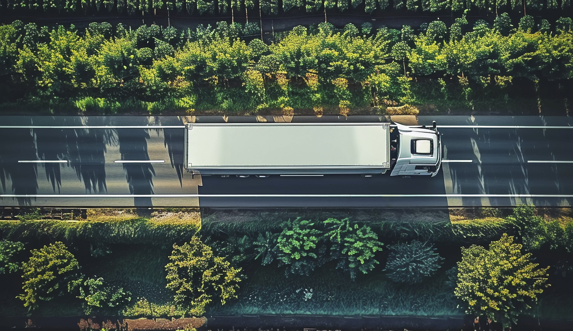 roteirização verde reduz emissões